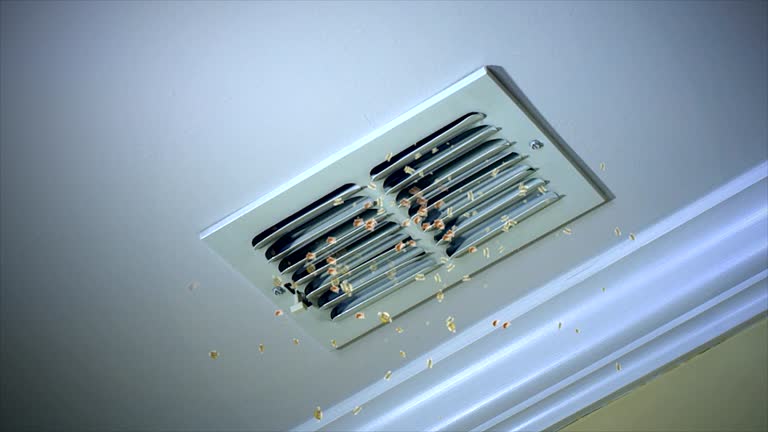 Best Air Duct Cleaning Near Me  in Tremont, IL