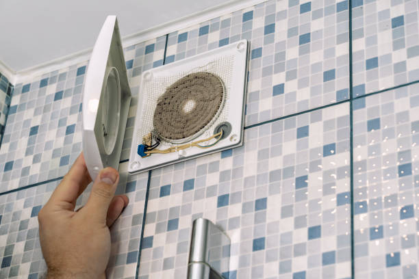 Best Residential Air Duct Cleaning  in Tremont, IL