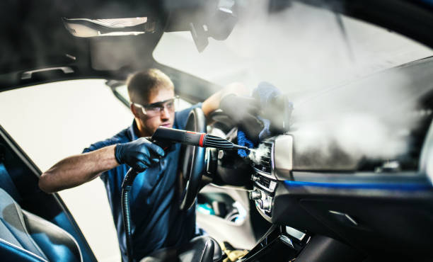 Best Affordable Duct Cleaning Services  in Tremont, IL