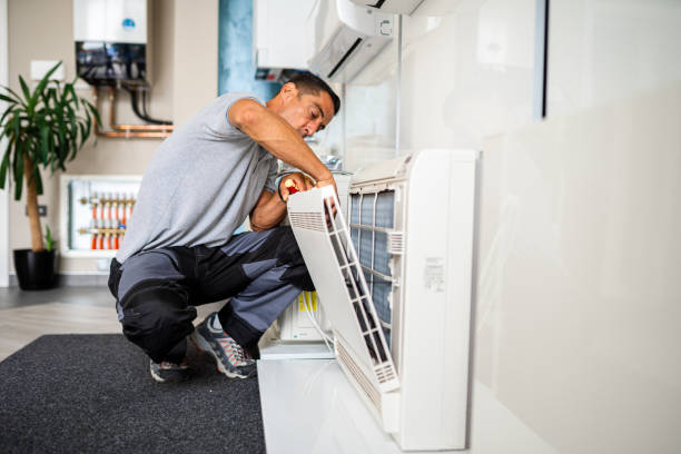 Best Local Air Duct Cleaning Services  in Tremont, IL