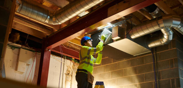 Best Affordable Duct Cleaning Services  in Tremont, IL