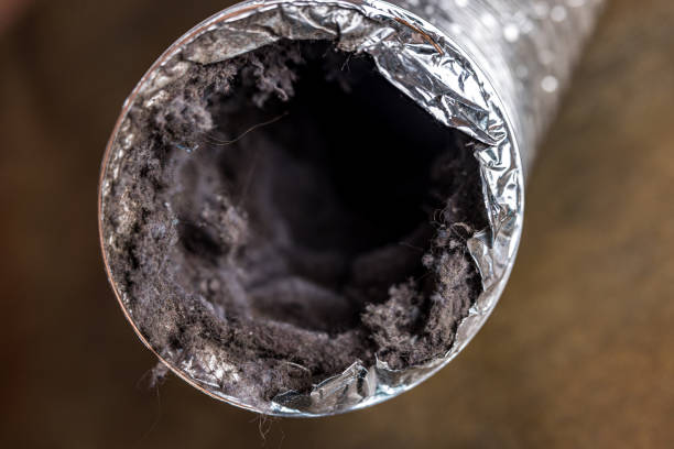 Best Ductwork Cleaning Services  in Tremont, IL