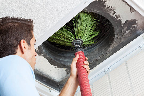 Best Ventilation Cleaning Services  in Tremont, IL