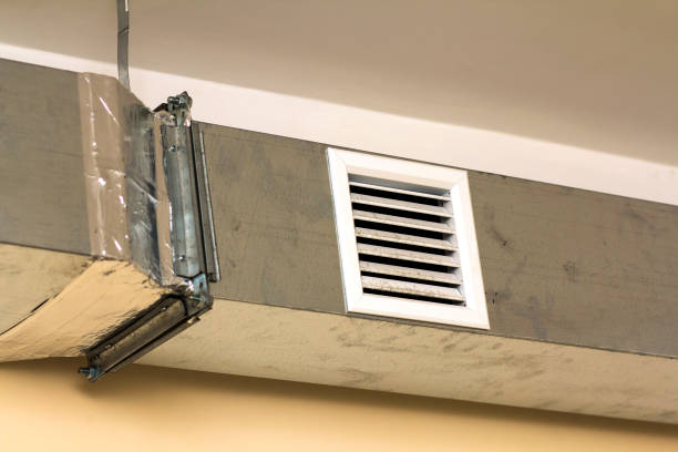Best Air Vent Cleaning Services  in Tremont, IL